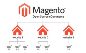 Magento Multi Store