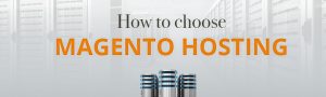 Magento Hosting Provider