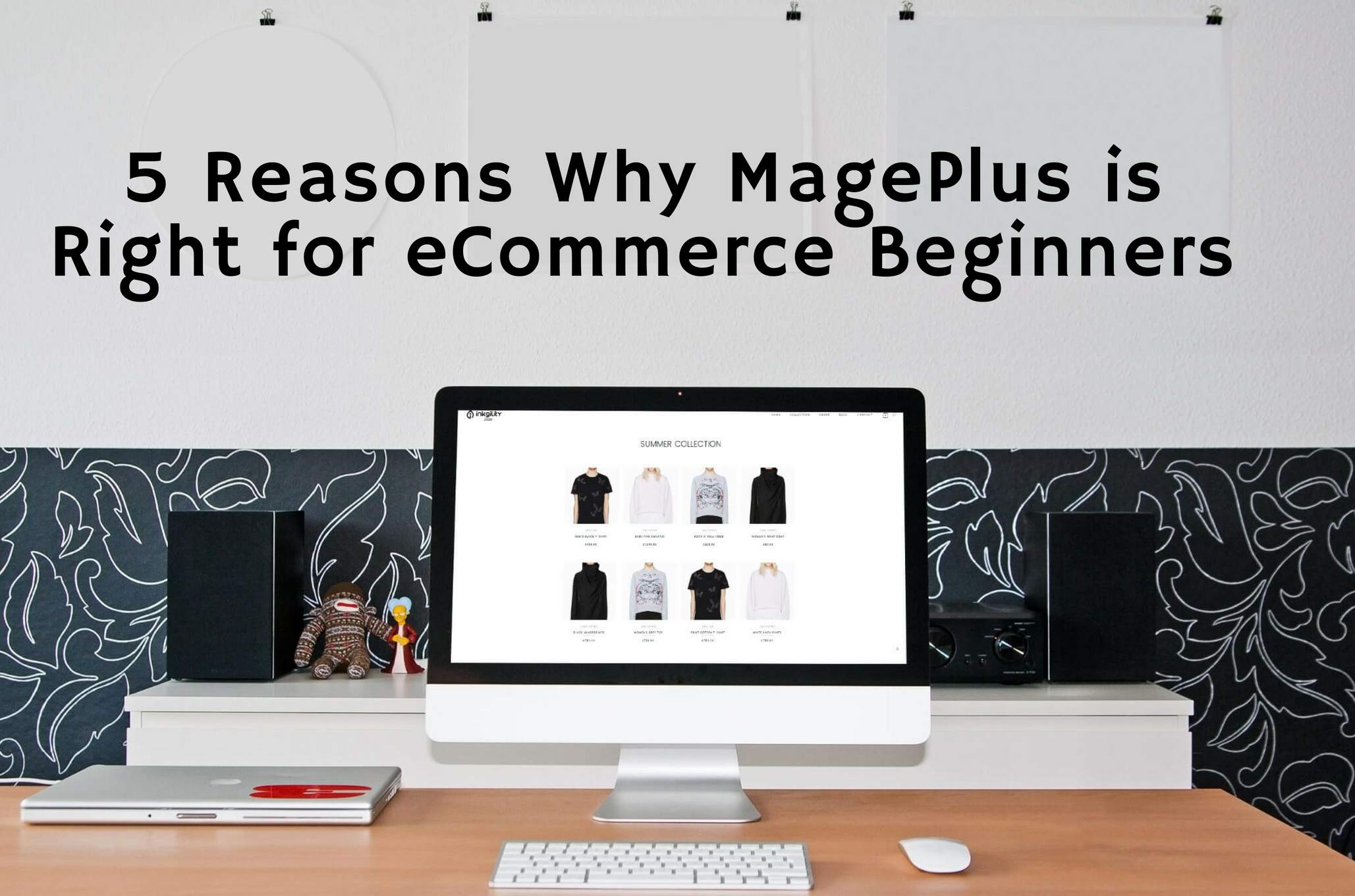 5 Reasons Why MagePlus is Right for eCommerce Beginners