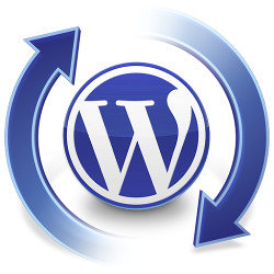 automatic WordPress updates