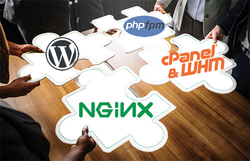 Nginx cPanel